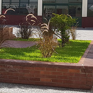 Colegio Casa de Jesús, Almagro - Parquizarte - Soluciones Verdes