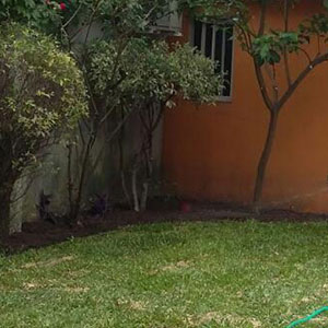 Jardin particular Caballito - Parquizarte - Soluciones Verdes